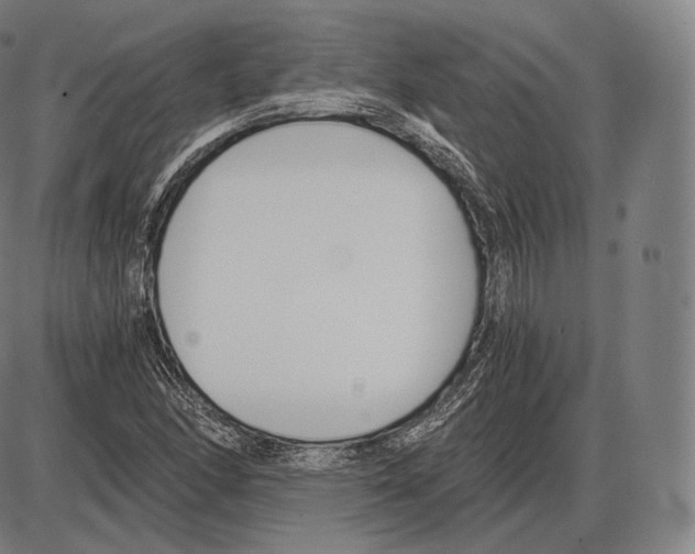 X0000084011166200703161706