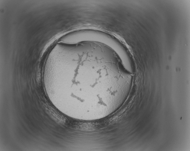 X0000084011167200703161706