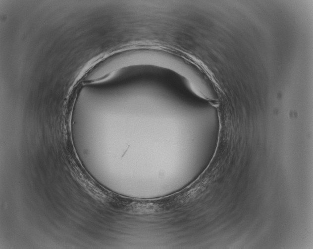 X0000084011168200703161706