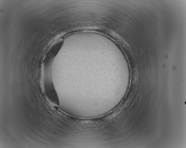 X0000084011169200703161706