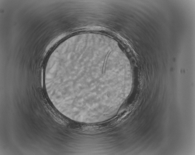 X0000084011171200703161706