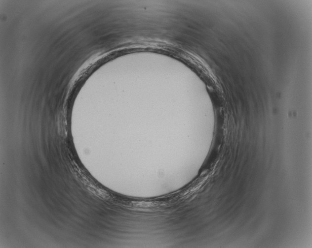 X0000084011172200703161706