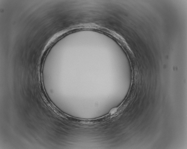 X0000084011176200703161706