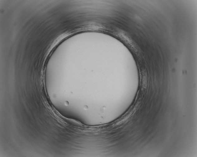 X0000084011178200703161706