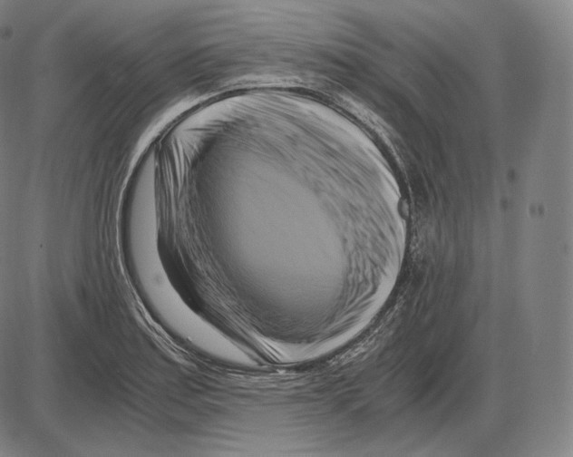 X0000084011179200703161706