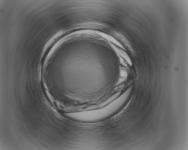 X0000084011180200703161706