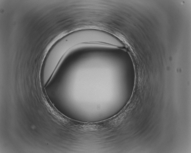 X0000084011181200703161706