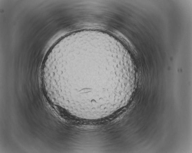 X0000084011182200703161706