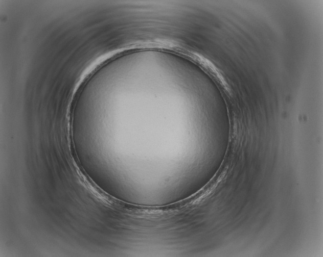 X0000084011184200703161706