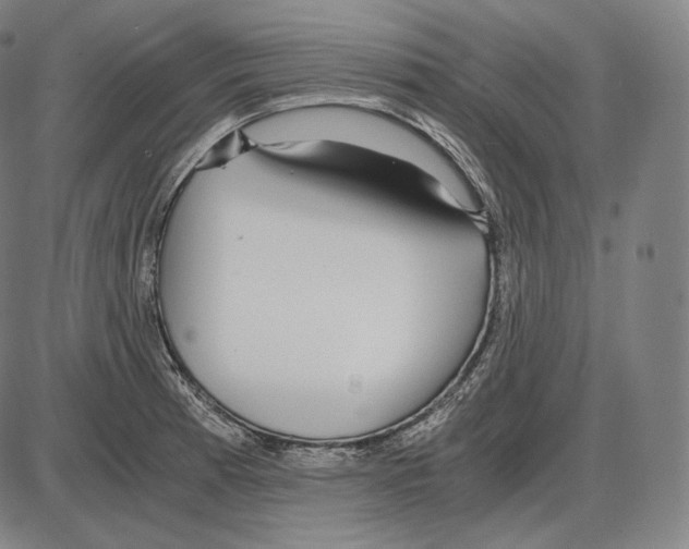 X0000084011185200703161706