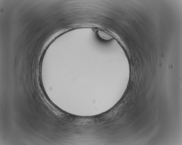 X0000084011187200703161706