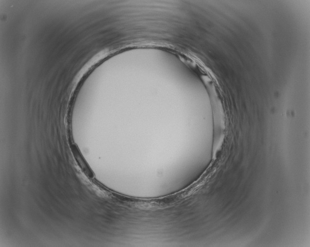 X0000084011189200703161706