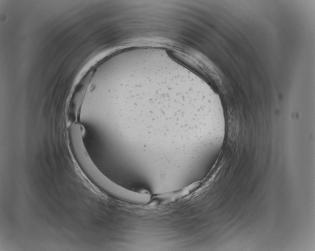 X0000084011192200703161706