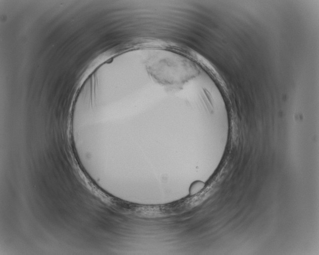 X0000084011194200703161706