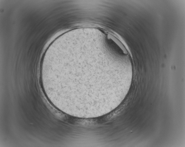 X0000084011195200703161706