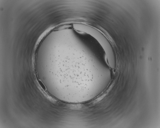 X0000084011196200703161706