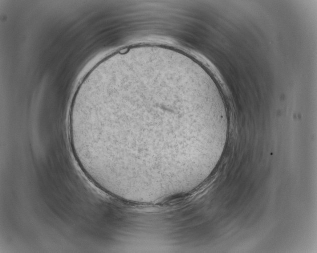 X0000084011199200703161706