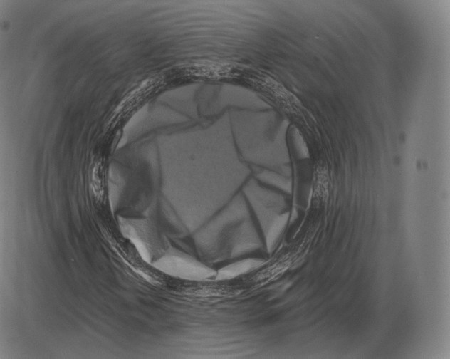 X0000084011202200703161705