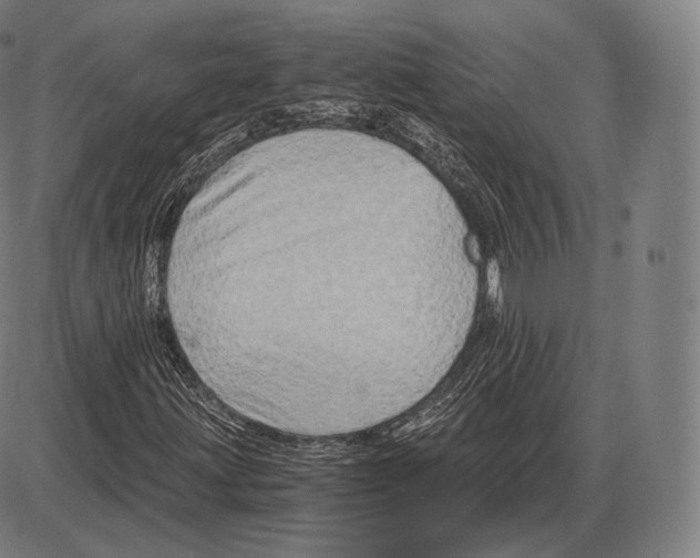 X0000084011203200703161705