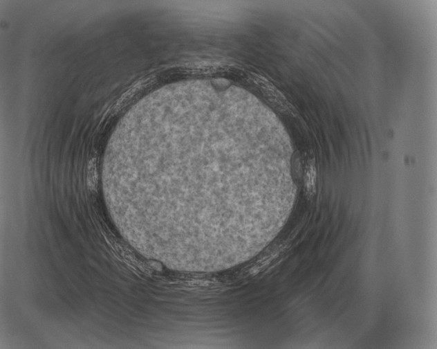 X0000084011204200703161705