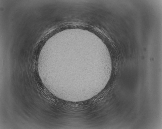 X0000084011207200703161705