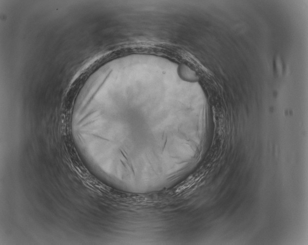 X0000084011208200703161705