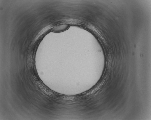 X0000084011211200703161705