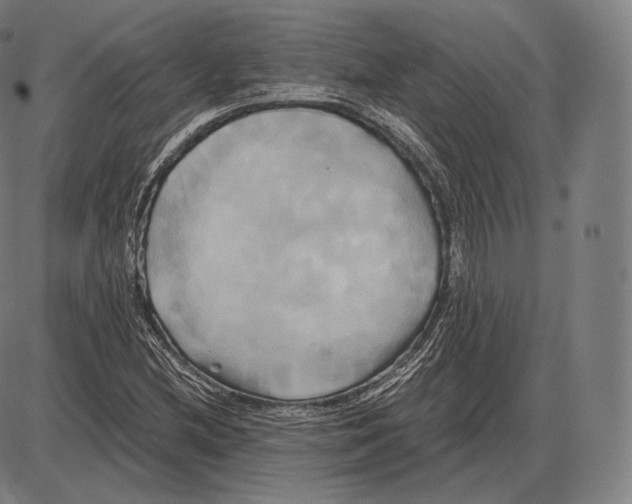 X0000084011212200703161705