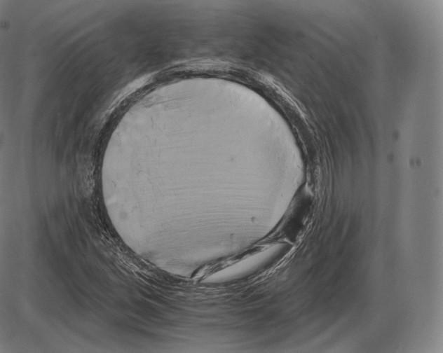 X0000084011213200703161705