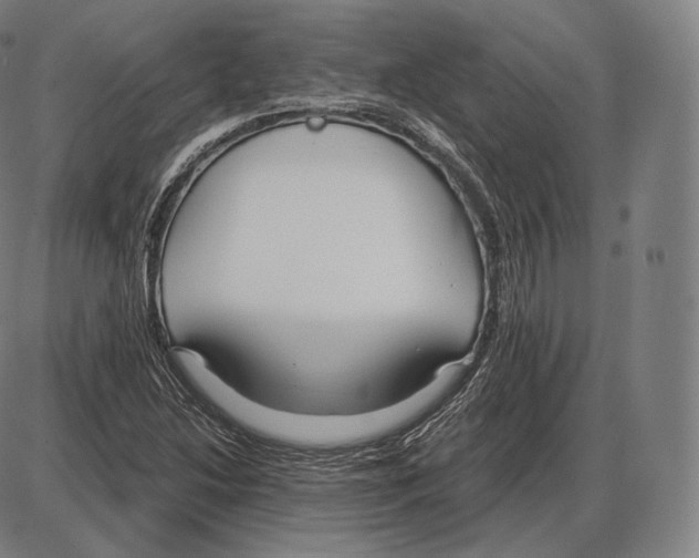 X0000084011214200703161705