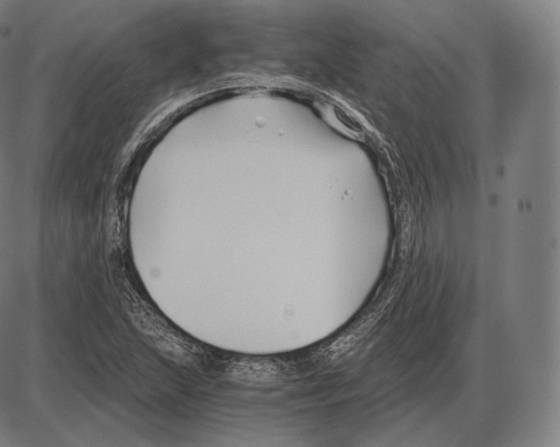 X0000084011215200703161705