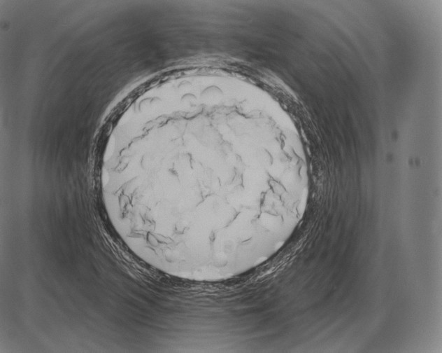 X0000084011216200703161705