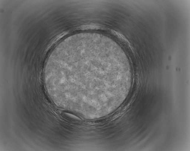 X0000084011217200703161705