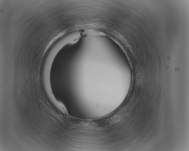 X0000084011218200703161705