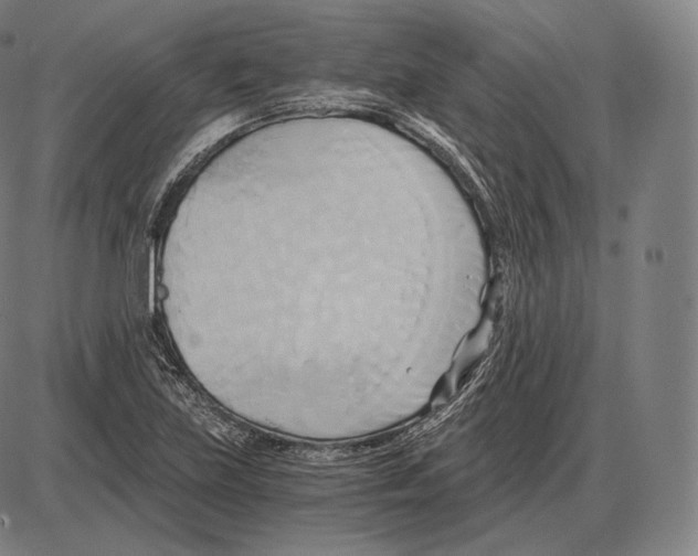 X0000084011219200703161705