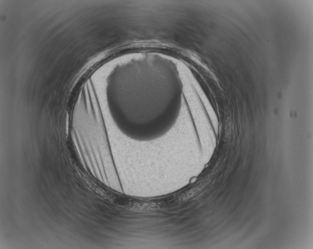 X0000084011221200703161705