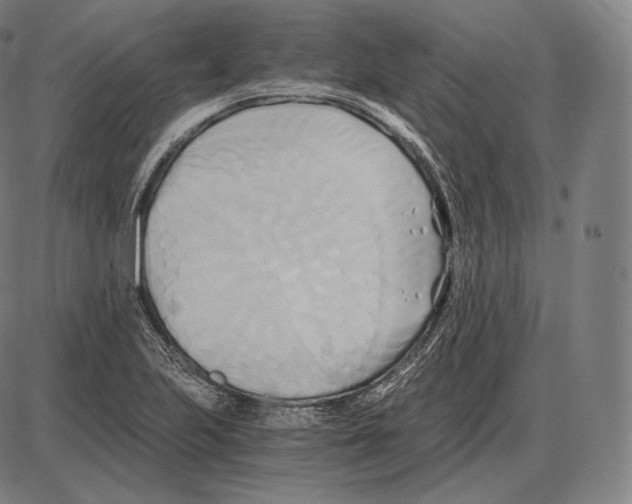 X0000084011223200703161705