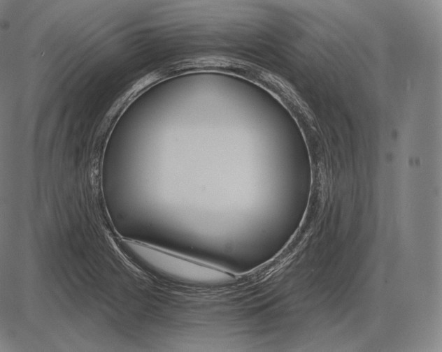 X0000084011225200703161705