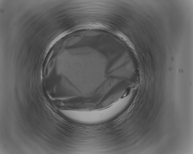 X0000084011226200703161705