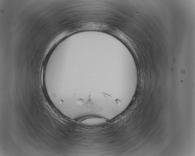 X0000084011227200703161705