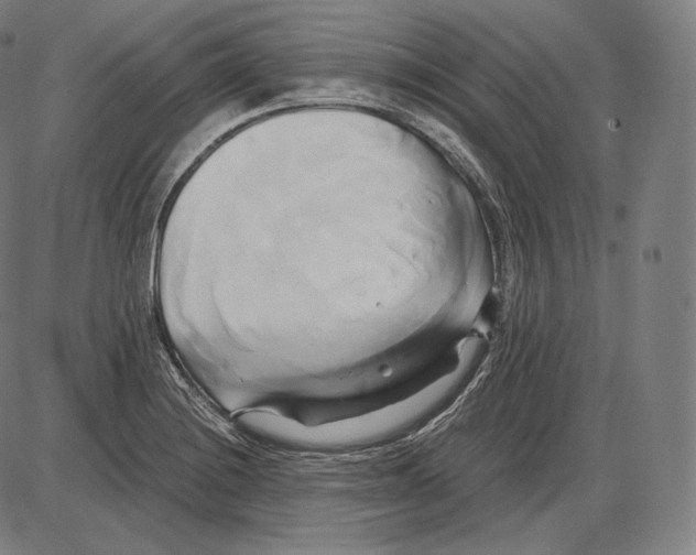 X0000084011228200703161705