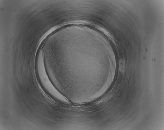 X0000084011229200703161705