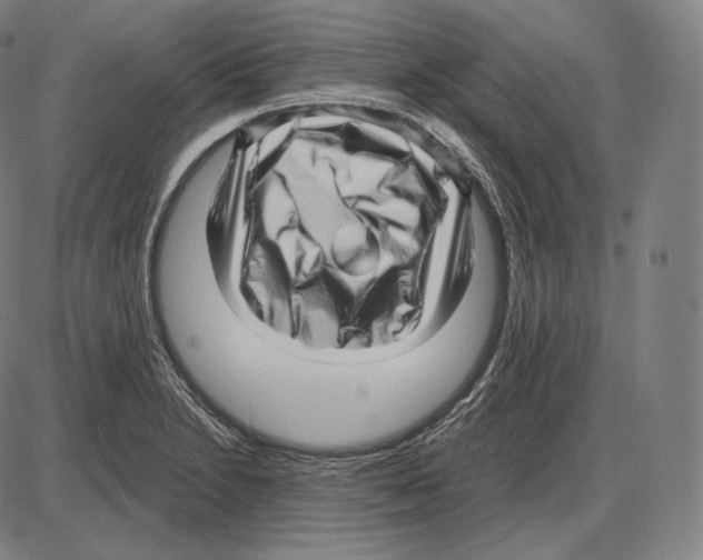 X0000084011230200703161705