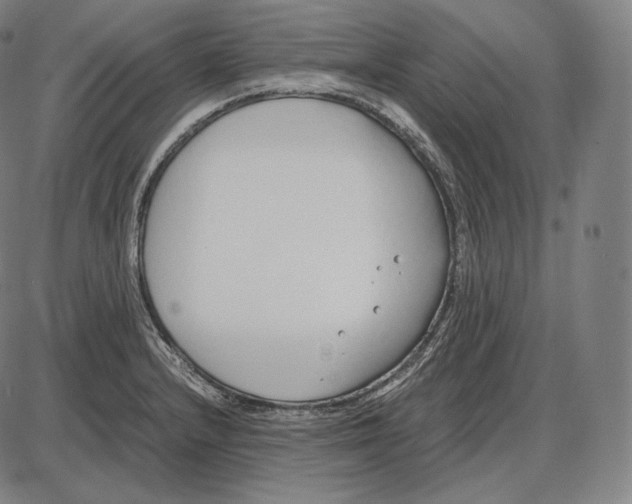 X0000084011232200703161705