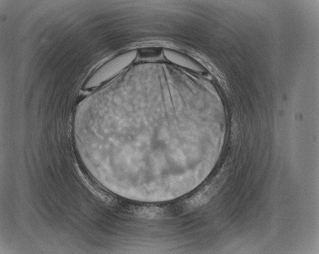 X0000084011233200703161705