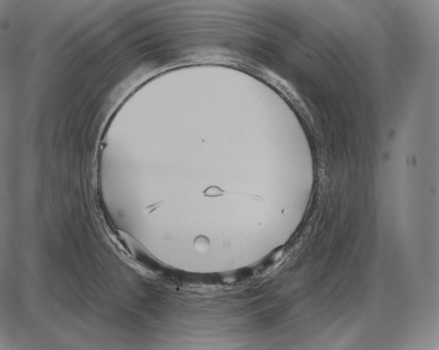 X0000084011236200703161705