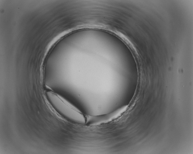 X0000084011238200703161705