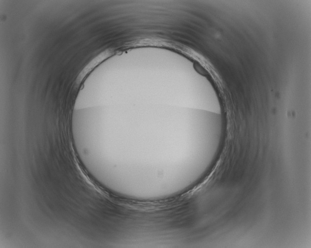 X0000084011241200703161705