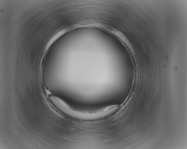 X0000084011242200703161705