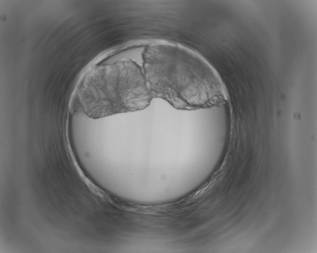 X0000084011245200703161706